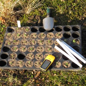 Ansiedlungsmaßnahmen