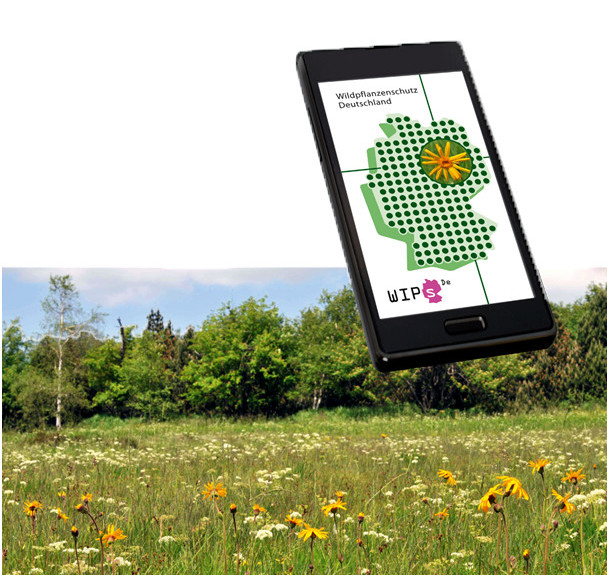 Botanisches Kartierungsportal