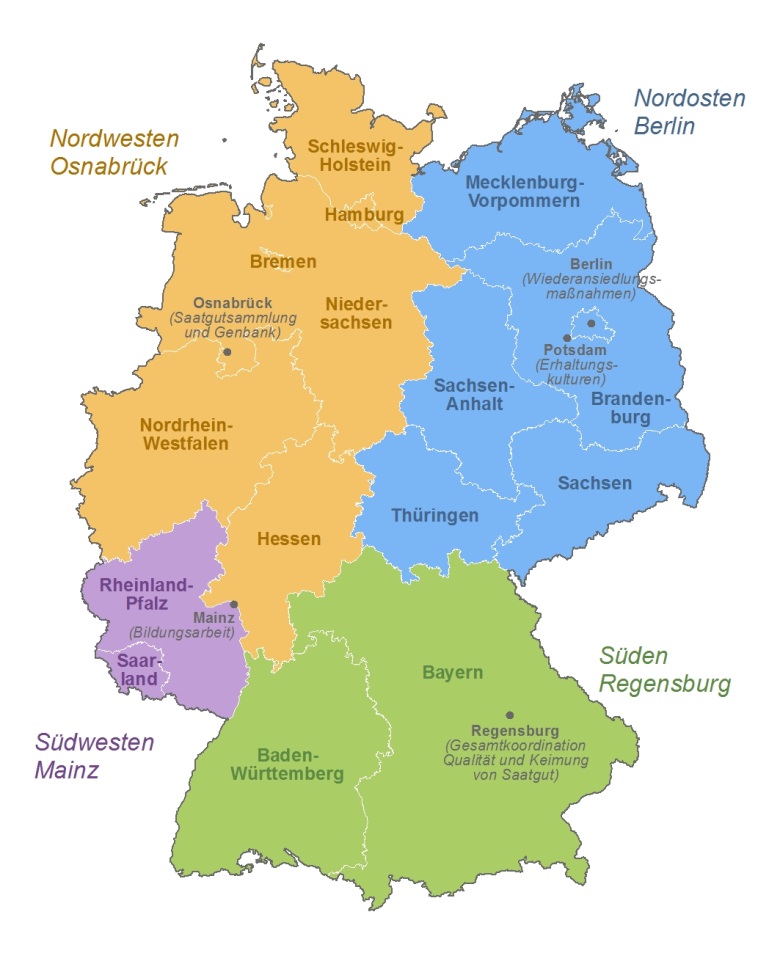 Auf diesem Bild ist das Projekt Wildpflanzenschutz Deutschland mit seinen Verbundpartnern und ihren jeweiligen Projektregionen auf einer Deutschlandkarte dargestellt. Der Nordwesten als Projektregion von Osnabrück, der Nordosten von Berlin, der Süden von Regensburg und der Südwesten von Mainz. Darüber hinaus ist Mainz für die Pädagogik und Karlsruhe für die Öffentlichkeitsarbeit zuständig.