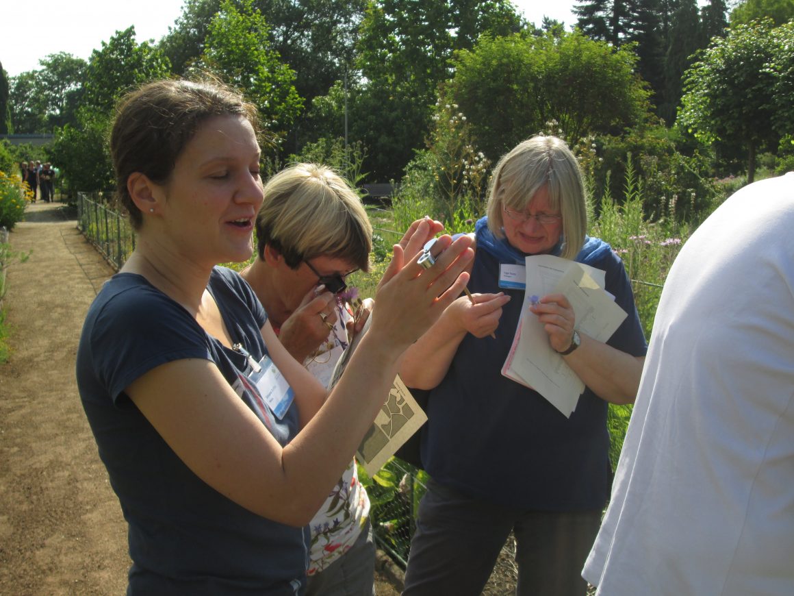 Bildungsarbeit Bildungsarbeit