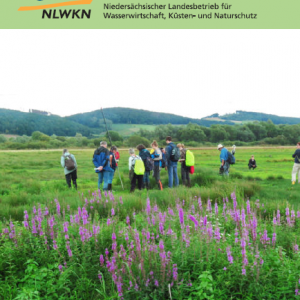 Niedersächsisches Botaniker- und Kartiertreffen 2020