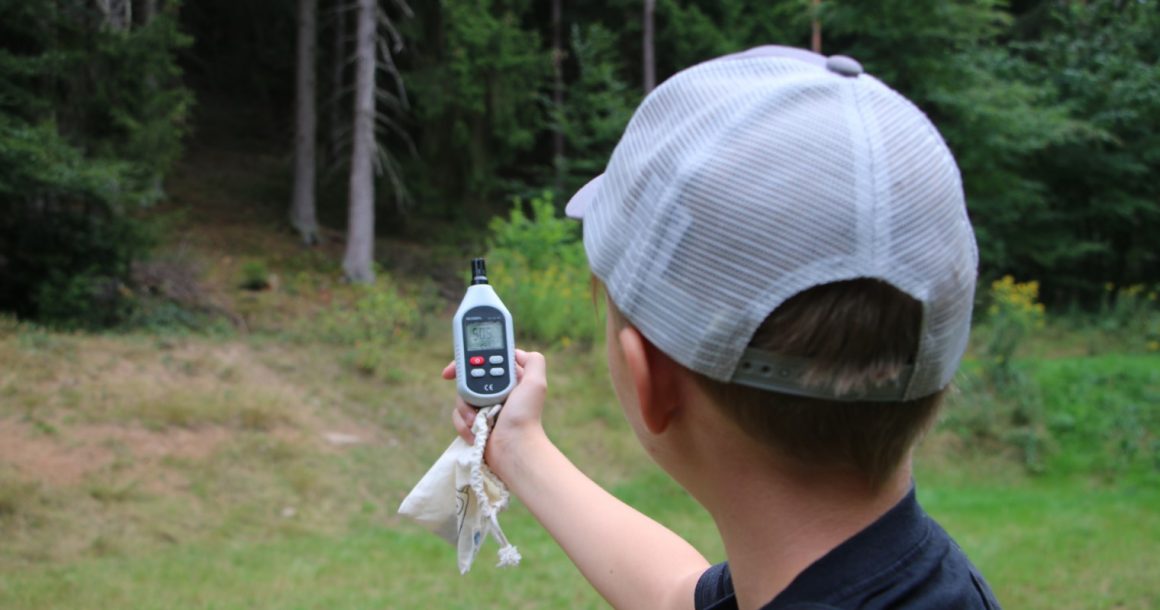 wildwuchs im Wald – wir wagen uns aus dem Botanischen Garten heraus