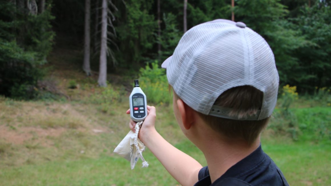 wildwuchs im Wald – wir wagen uns aus dem Botanischen Garten heraus wildwuchs im Wald – wir wagen uns aus dem Botanischen Garten heraus
