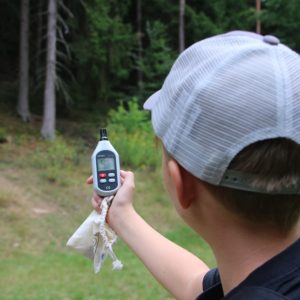 wildwuchs im Wald – wir wagen uns aus dem Botanischen Garten heraus