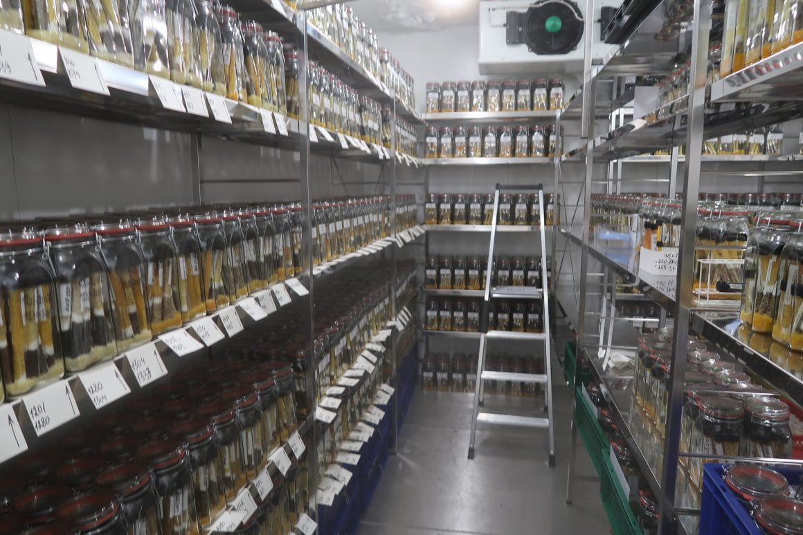 Aus dem Arbeitsalltag