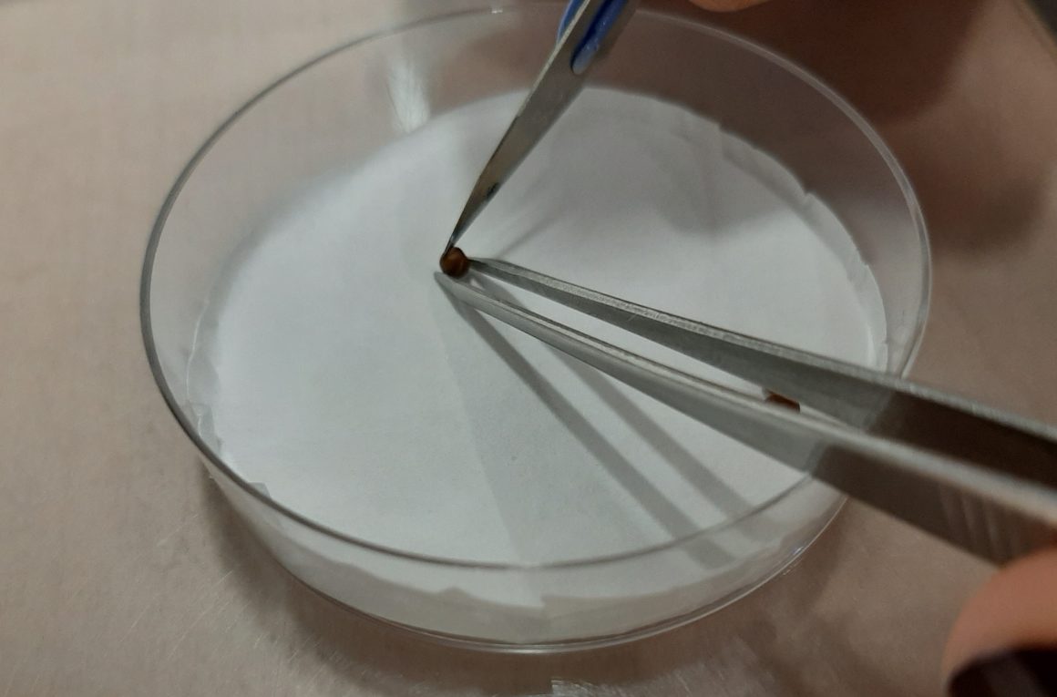 WIPs-De Lexikon WIPs-De Lexikon