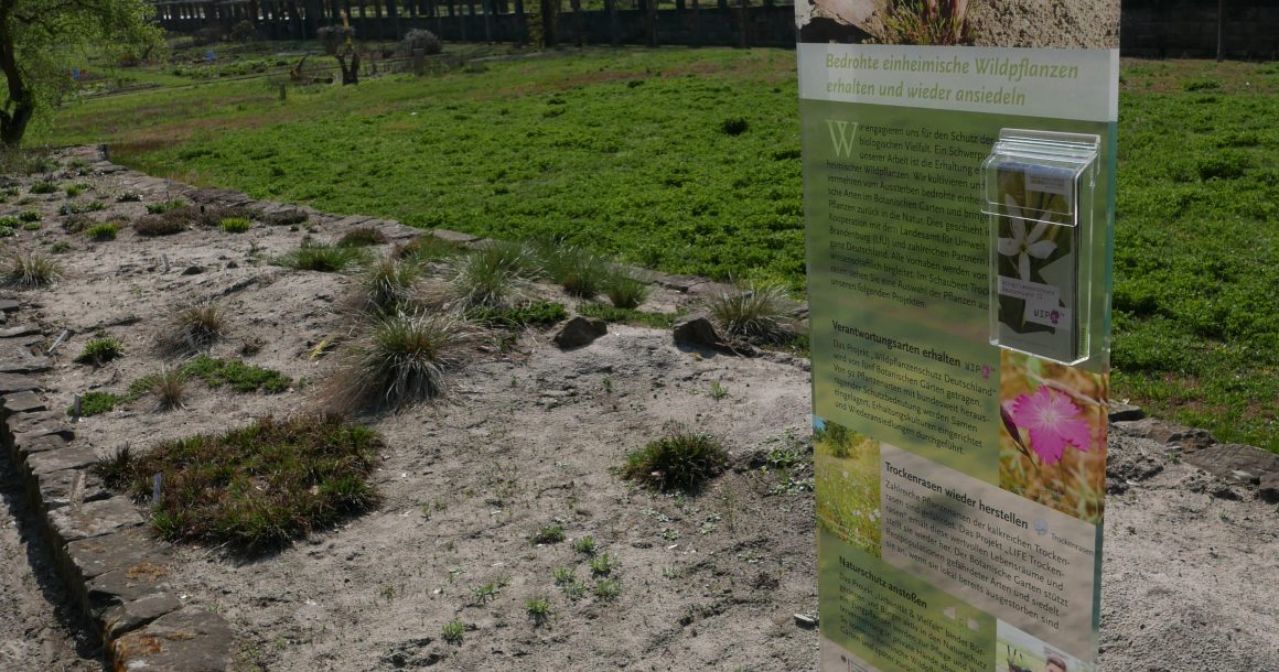 Artenschutz vermitteln