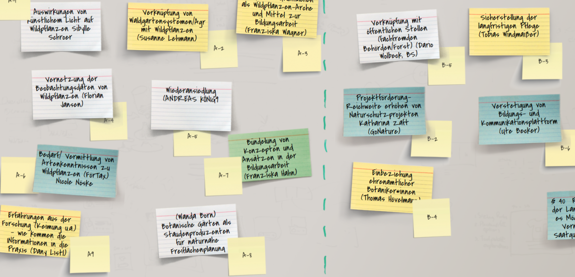 Vernetzungstreffen Wildpflanzen Vernetzungstreffen Wildpflanzen