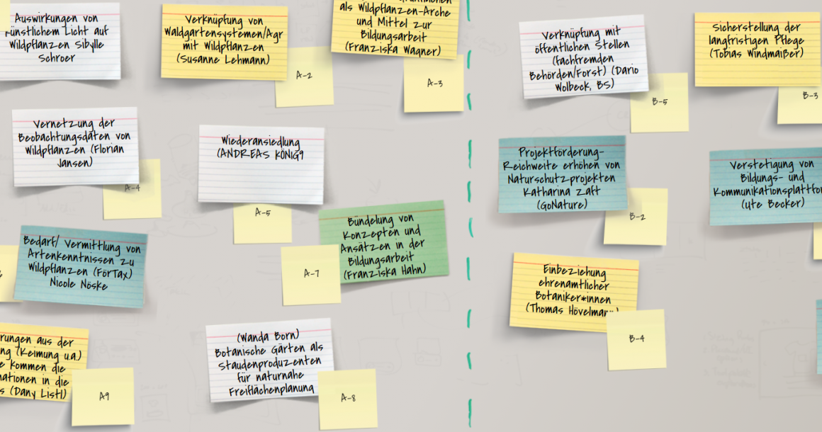 Vernetzungstreffen Wildpflanzen