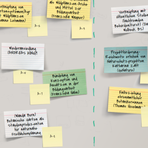 Vernetzungstreffen Wildpflanzen