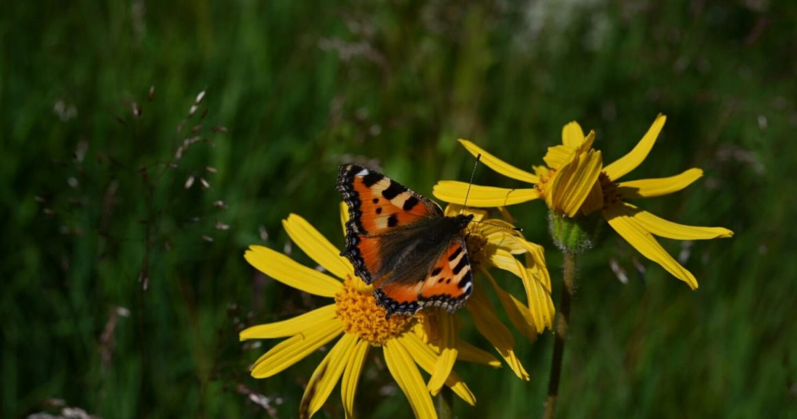 Aus dem Arbeitsalltag