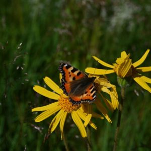 Aus dem Arbeitsalltag