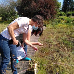 Engagement im Wildpflanzenschutz