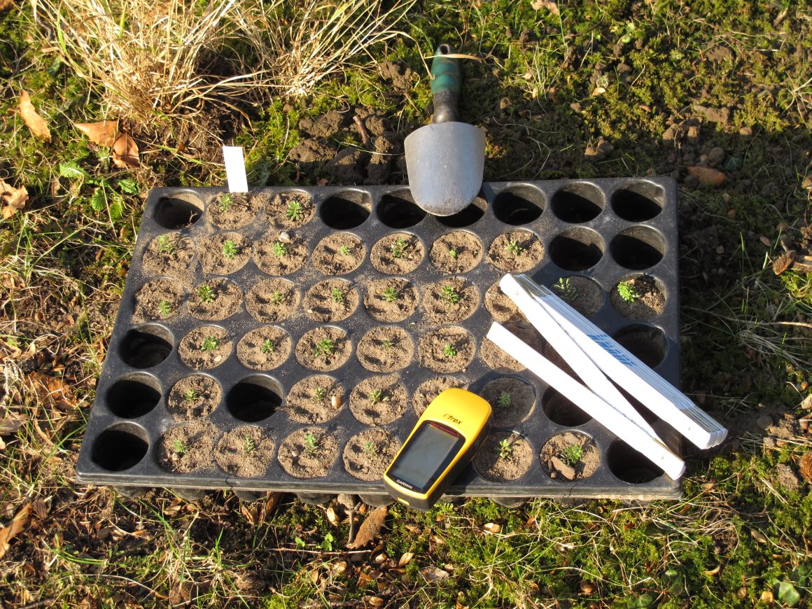 Fachtagung Fachtagung