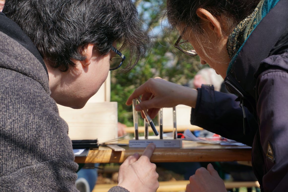wildwuchs in Botanischen Gärten