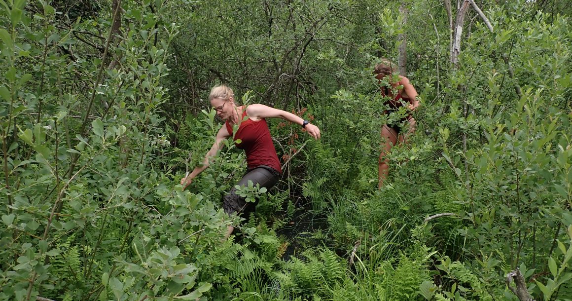 Aus dem Arbeitsalltag