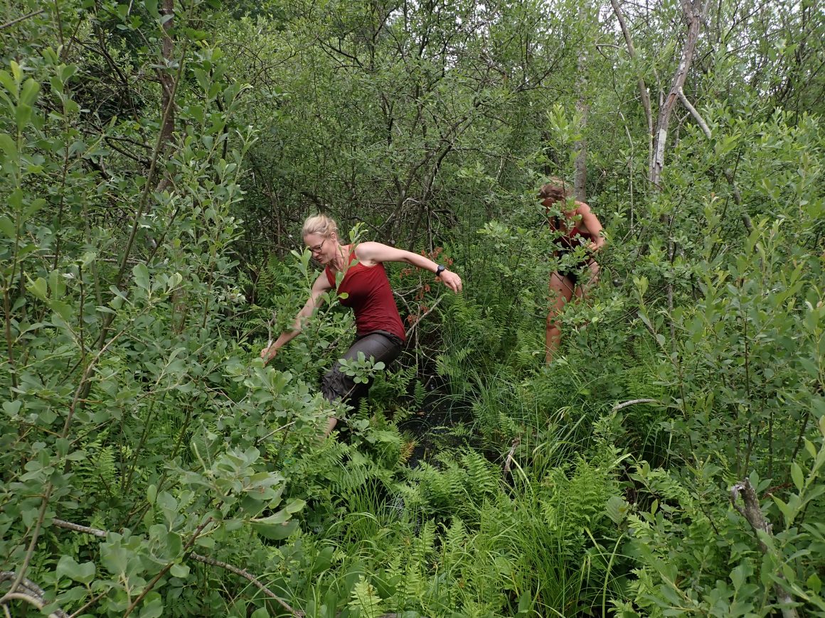 Aus dem Arbeitsalltag