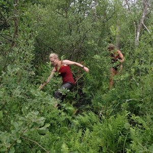 Aus dem Arbeitsalltag