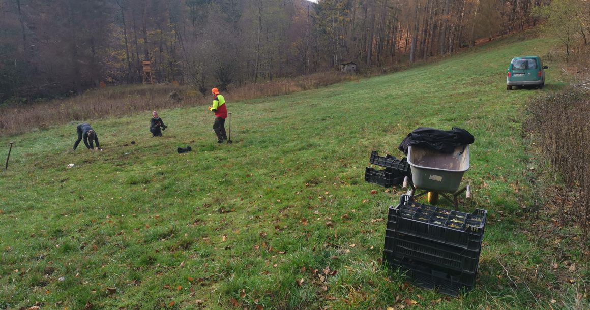 Aus dem Arbeitsalltag