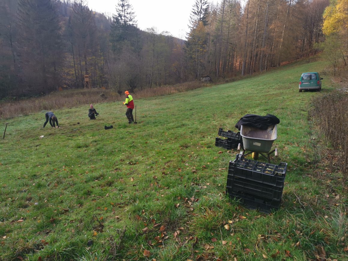 Aus dem Arbeitsalltag