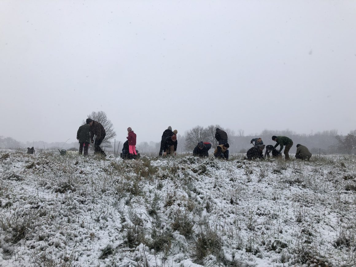 Aus dem Arbeitsalltag Aus dem Arbeitsalltag