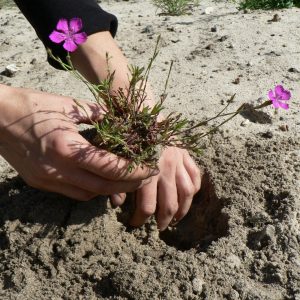 Weiter geht´s Weiter geht´s