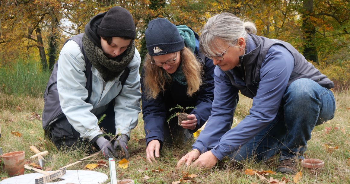 Rettung für bedrohte Pflanzen