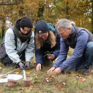 Rettung für bedrohte Pflanzen Rettung für bedrohte Pflanzen