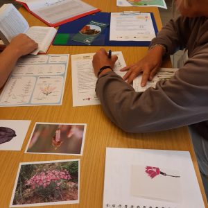 Neue Kursreihe Neue Kursreihe