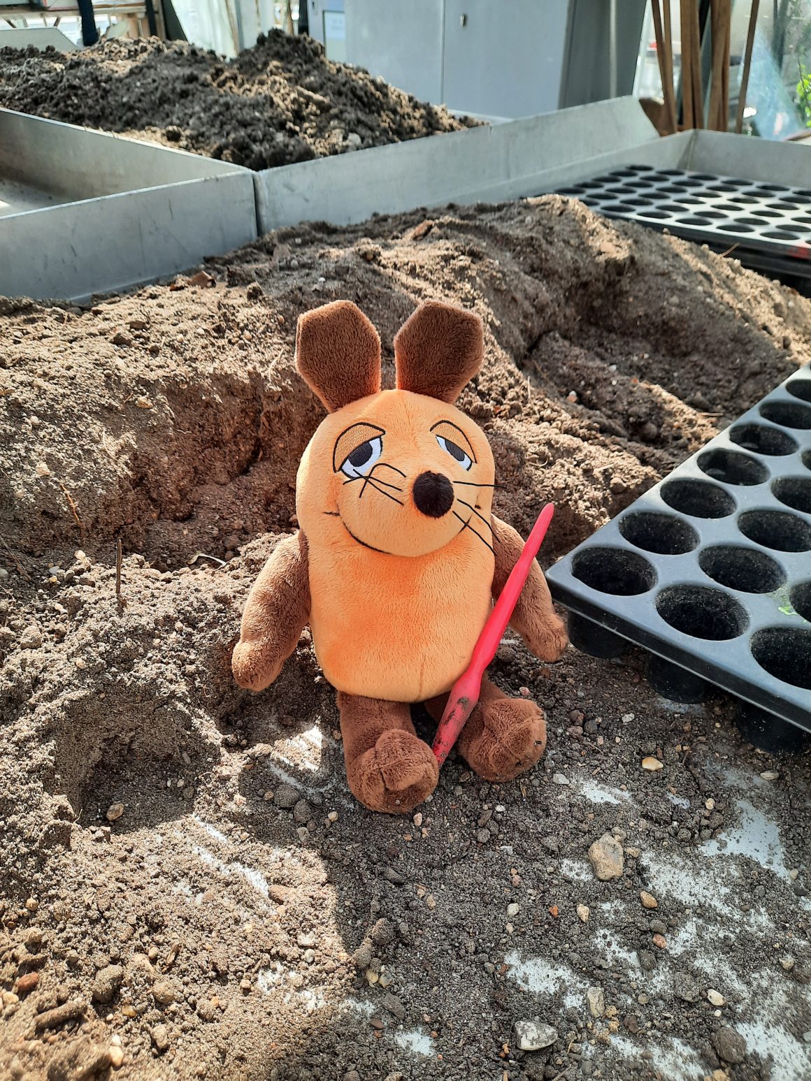 Türen auf mit der Maus Türen auf mit der Maus