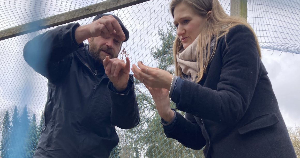 Unsere Schirmherrin Adina Arth