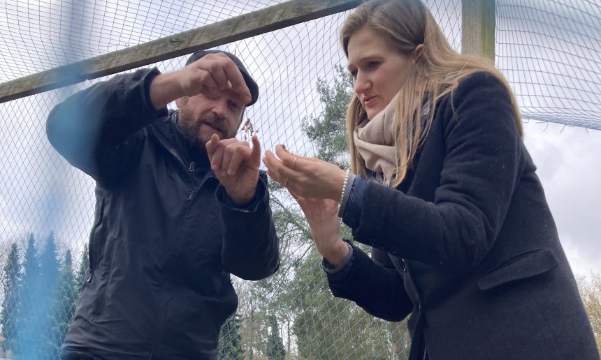 Unsere Schirmherrin Adina Arth