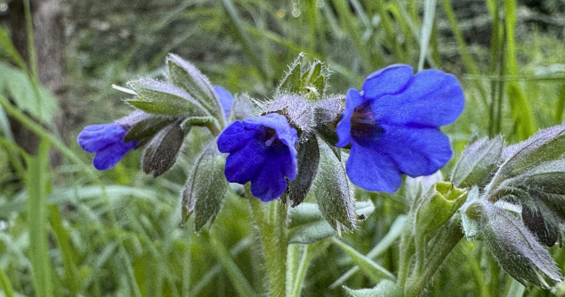 Aus dem Arbeitsalltag