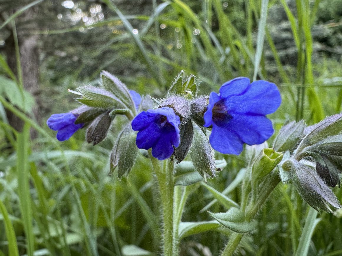 Aus dem Arbeitsalltag