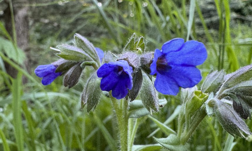 Aus dem Arbeitsalltag